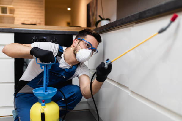 Best Local Pest Control Services  in Tuckerman, AR