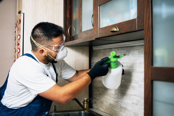 Best Residential Pest Control  in Tuckerman, AR