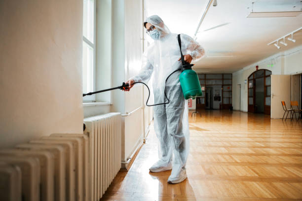 Best Flea Control Services  in Tuckerman, AR